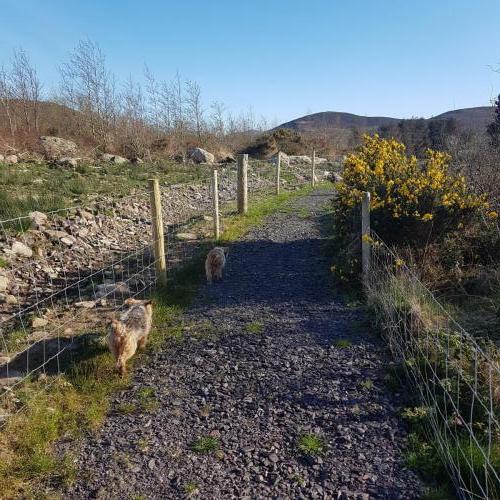 Annascaul River Walk